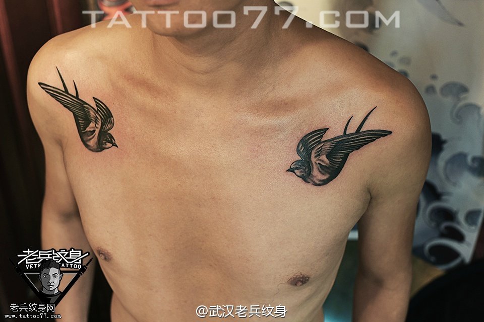 锁骨燕子纹身图案作品