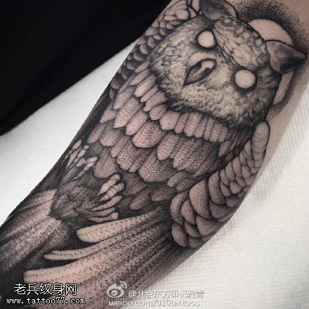 胳膊上的猫头鹰纹身图案