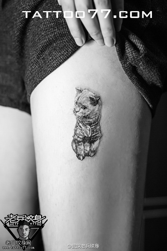 腿部可爱小猫纹身图案作品