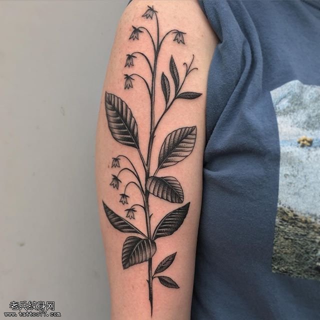 肩部的植物纹身图案