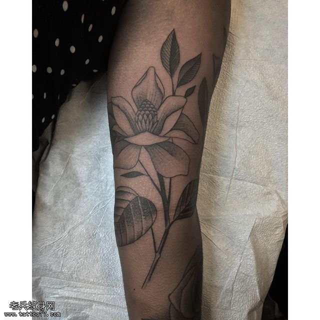 手臂的花卉果实纹身图案