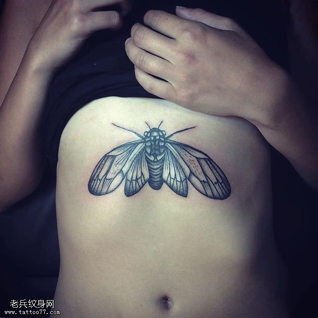 胸下的飞蛾纹身图案