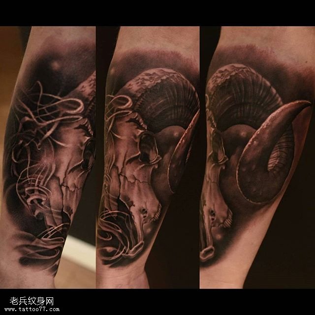 手臂写实山羊角纹身图案