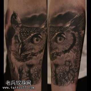 手臂写实派猫头鹰纹身图案