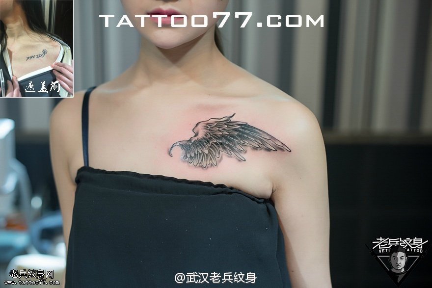 美女胸部羽毛纹身图案作品遮盖旧纹身