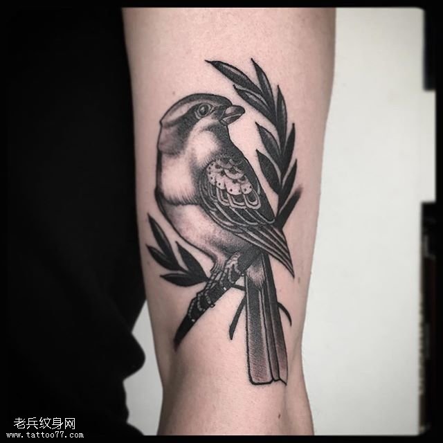 手臂上黑灰小鸟纹身图案