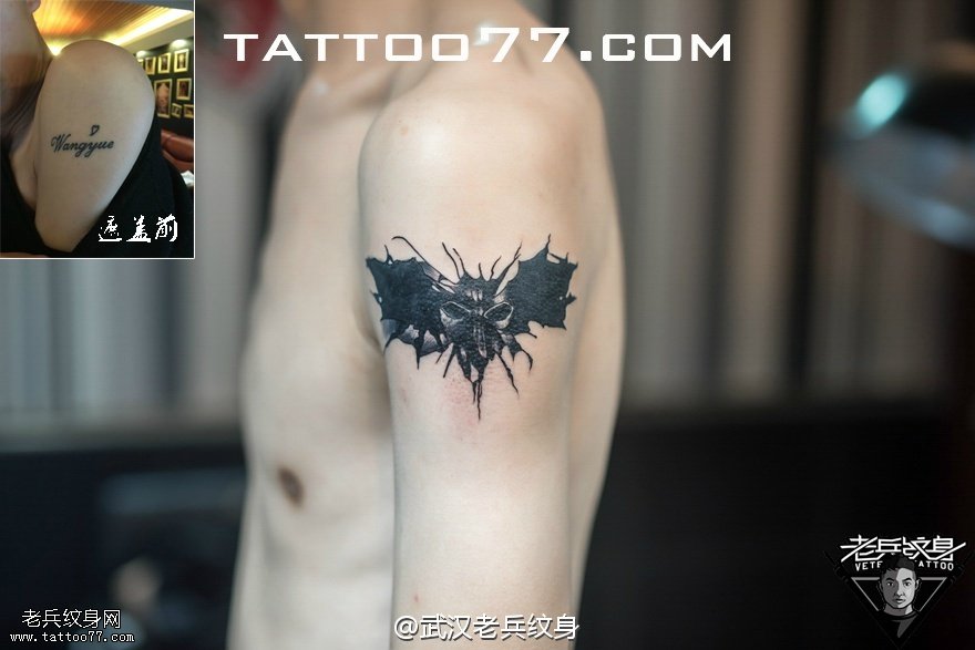 手臂蝙蝠纹身图案作品遮盖旧纹身