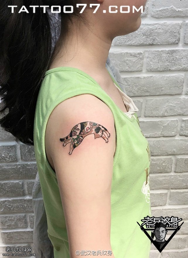 手臂猫咪纹身图案作品