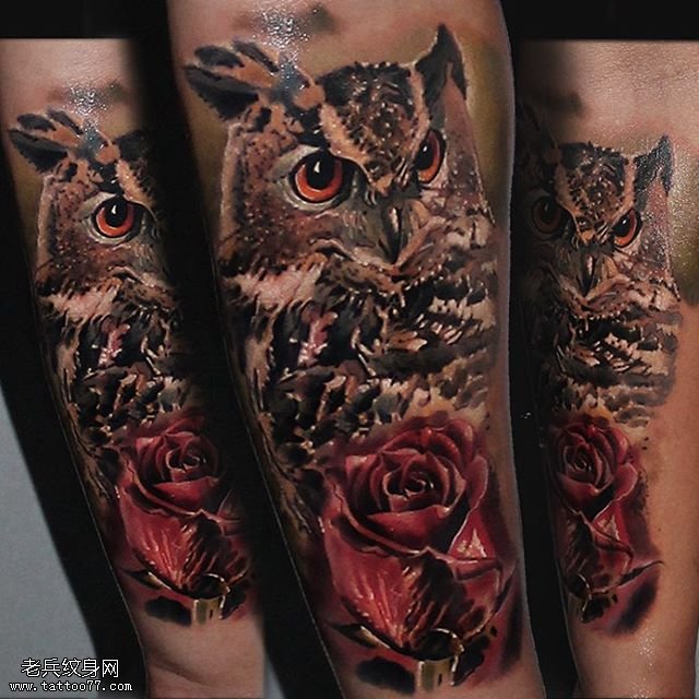 手臂写实猫头鹰玫瑰纹身图案