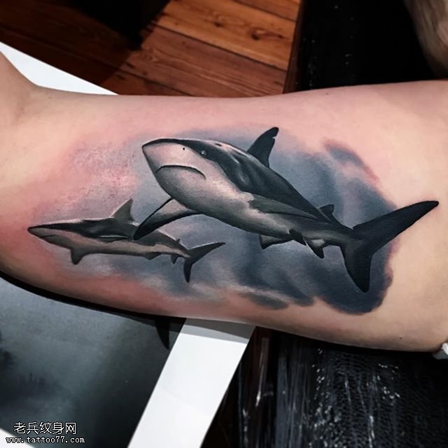 手臂的两条鲨鱼纹身图案