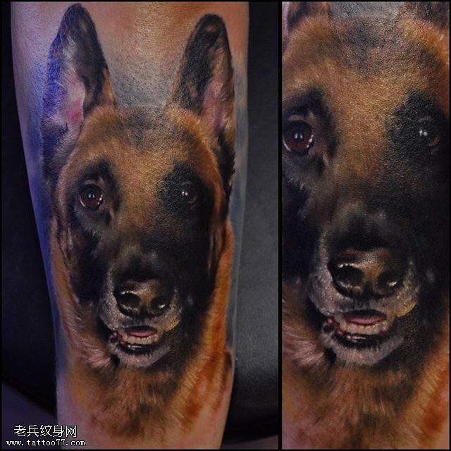 手臂的小狼狗纹身图案