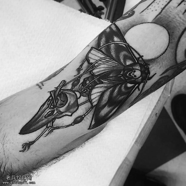 手臂上的飞蛾骷髅纹身图案