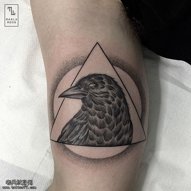 手臂点的乌鸦纹身图案