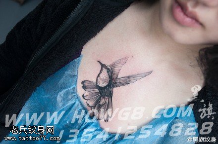 胸前遮疤鸟儿纹身图案