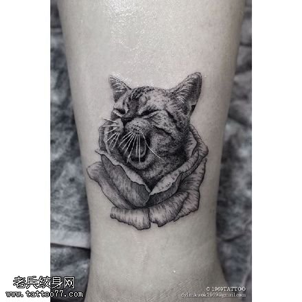 脚腕上的玫瑰猫纹身图案