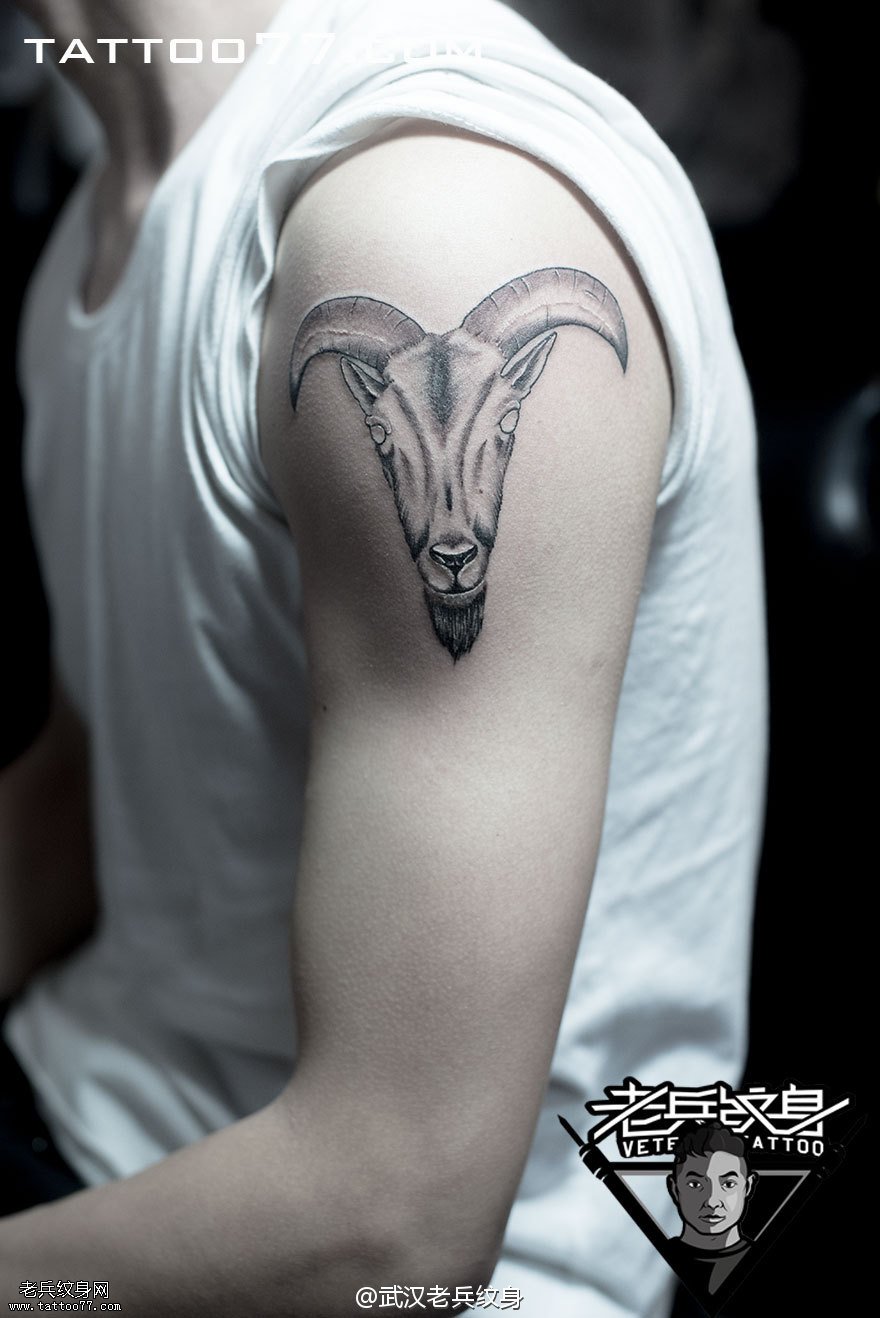  手臂羊头纹身图案作品