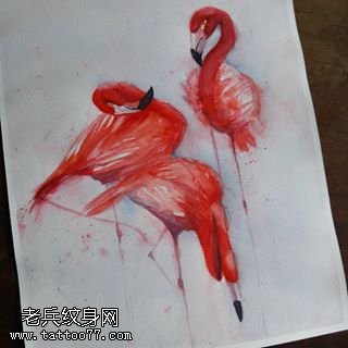 水彩红色仙鹤纹身图案