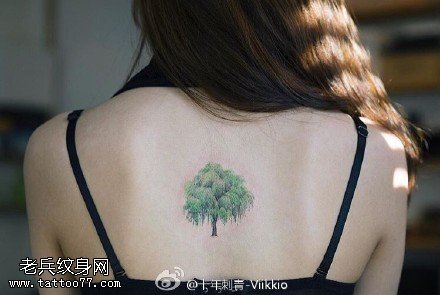 背部的小树纹身图案