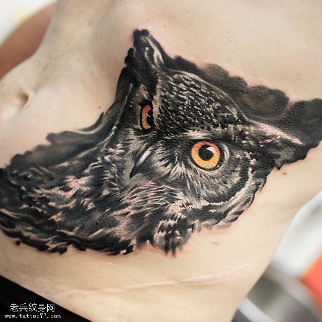 腹部经典水墨猫头鹰纹身图案