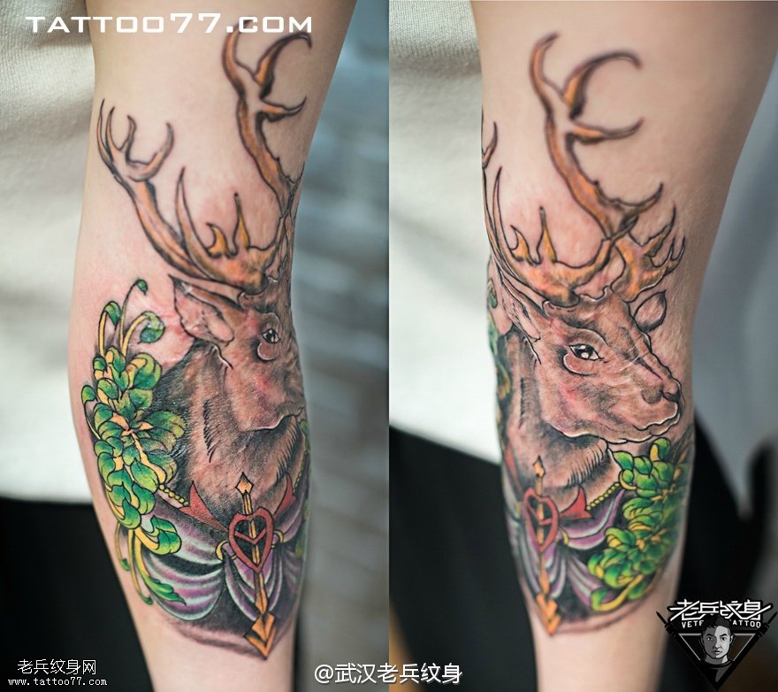 手臂鹿菊花纹身图案作品遮盖疤痕