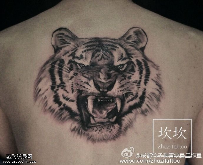 背部黑灰传统老虎纹身图案