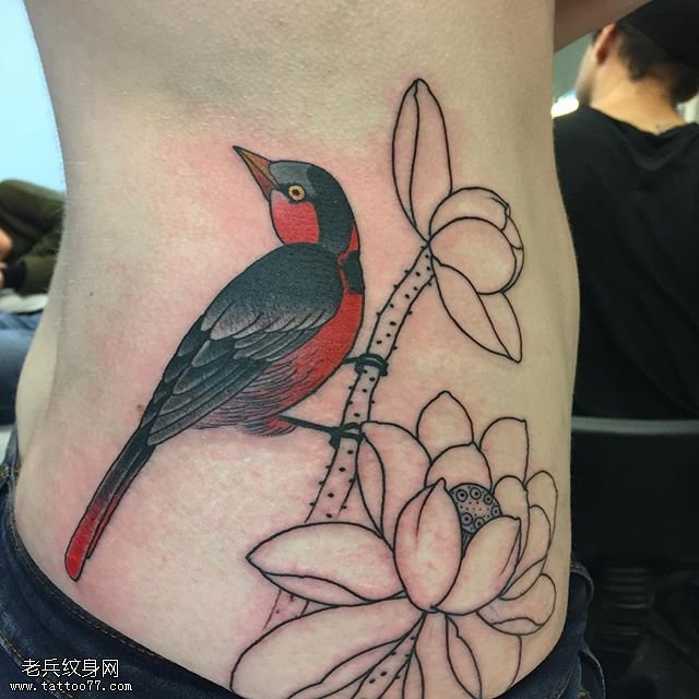 腹部线条莲花鸟纹身图案