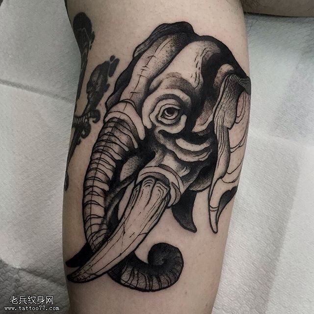 腿部的大象骷髅纹身图案