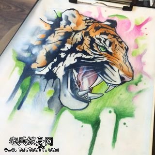 手稿水墨的老虎纹身图案
