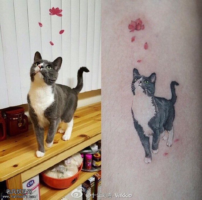 腿部的宠物猫咪纹身图案