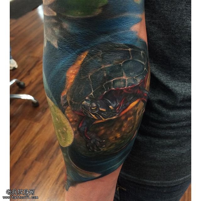 手臂黑灰乌龟纹身图案