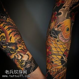 手臂的锦鲤老虎纹身图案