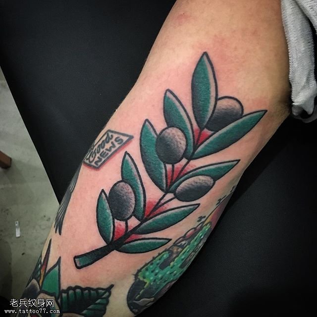 手臂的果实纹身图案