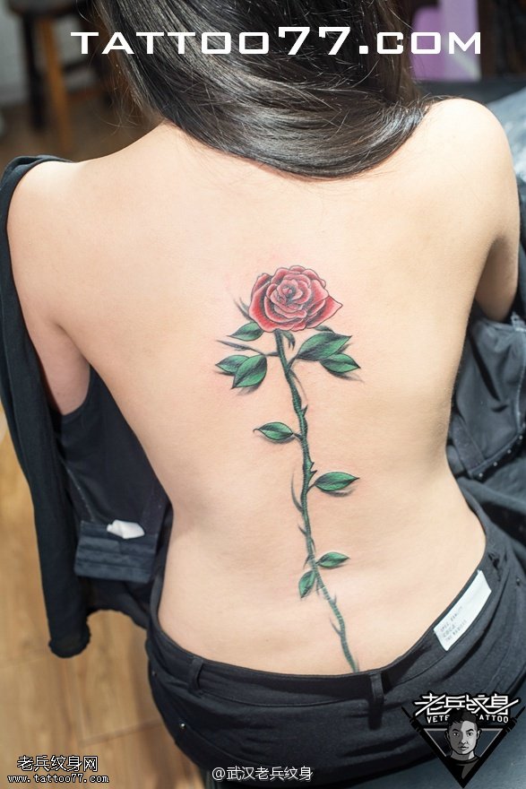 后背脊椎玫瑰花纹身图案作品