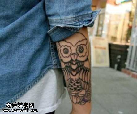 手臂的猫头鹰纹身图案