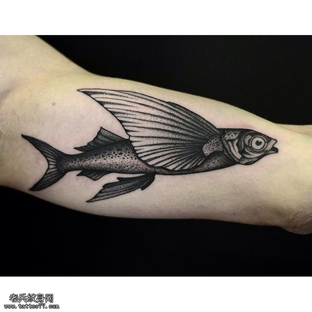 手臂会飞的鱼纹身图案