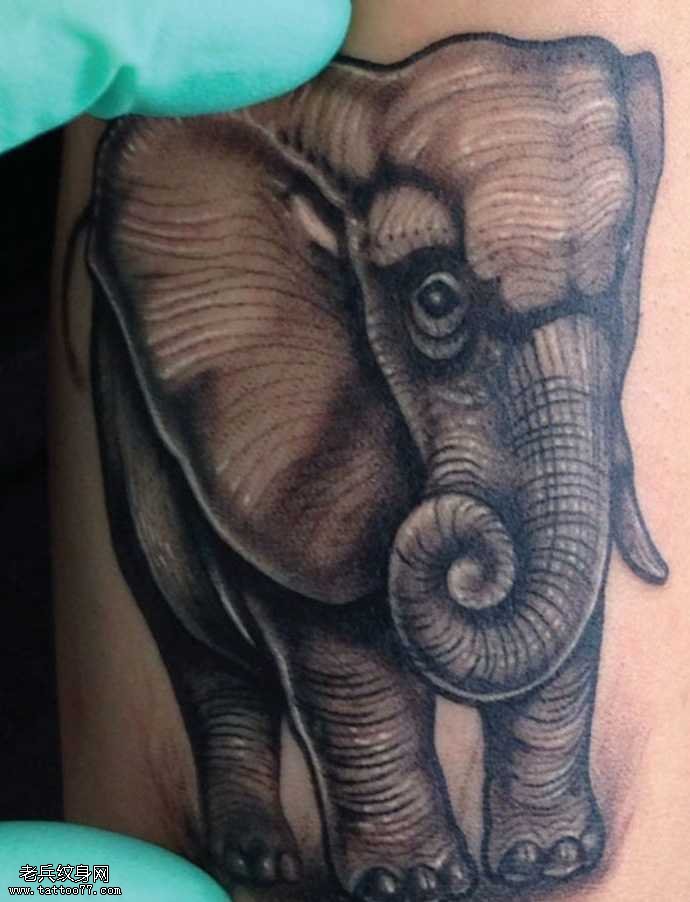 一款逼真的大象纹身图案