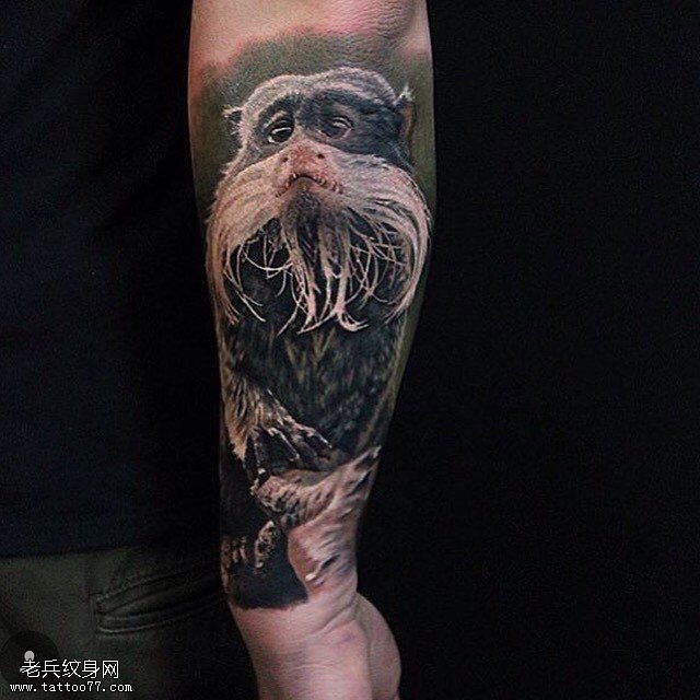 手臂的白胡子猫头鹰纹身图案