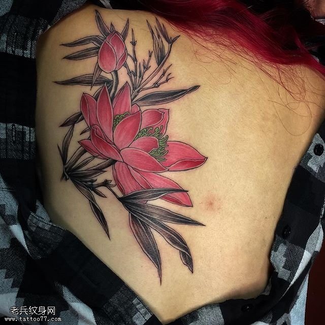背部水彩精致的莲花纹身图案
