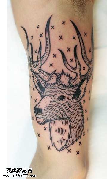 手臂十足的藏羚羊纹身图案