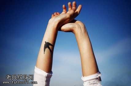 手臂燕子纹身图案