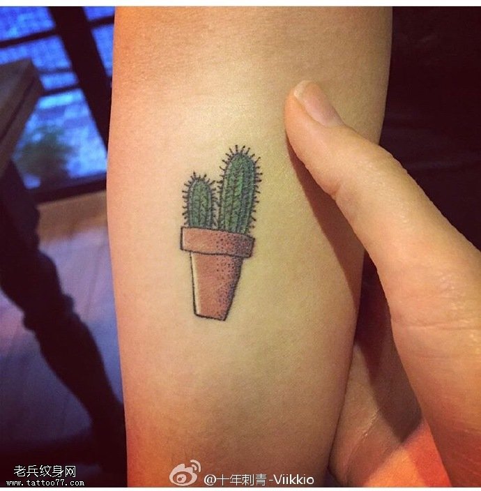 手臂上的仙人球纹身图案