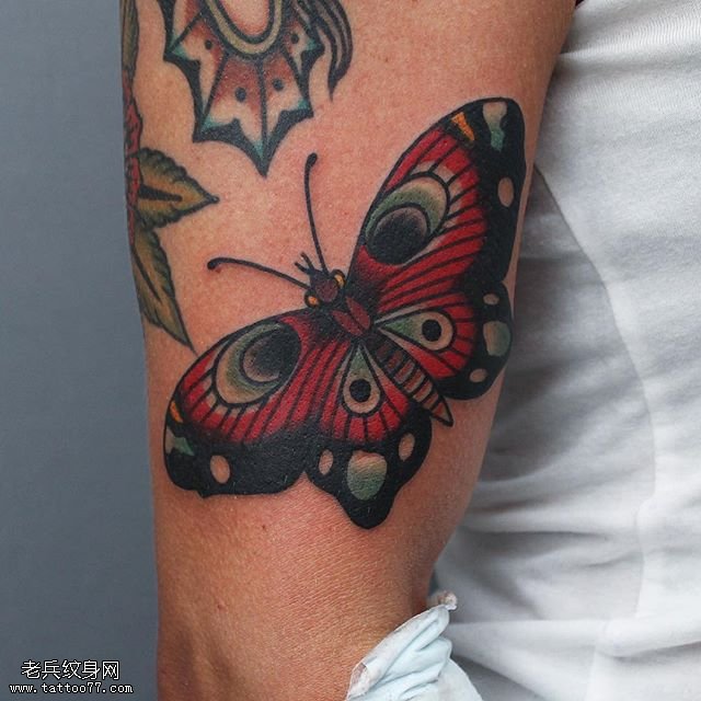 大臂上漂亮的蝴蝶纹身图案