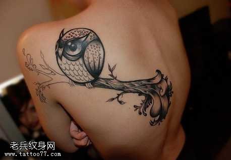 背部的猫头鹰纹身图案