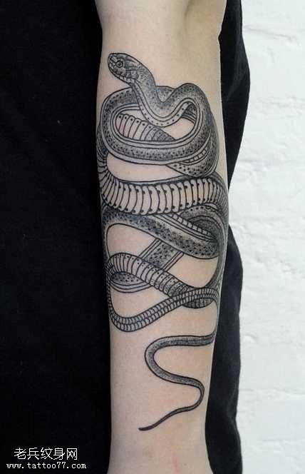 手臂时尚的蛇纹身图案
