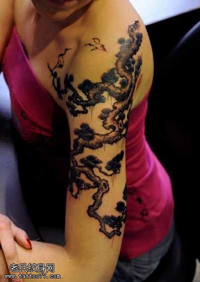 手臂一颗松树纹身图案