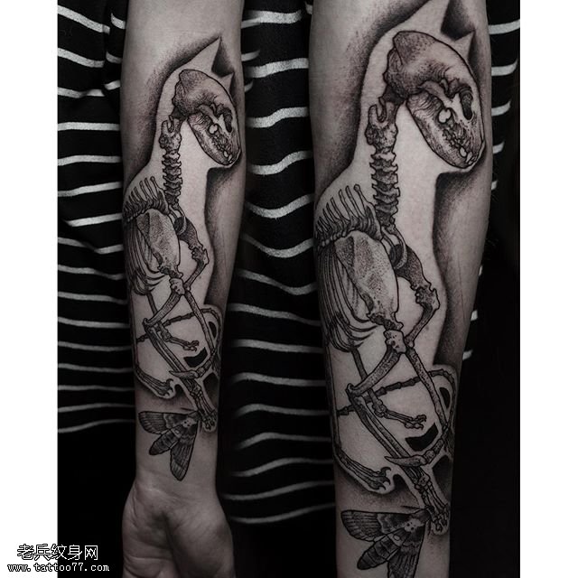 手臂的恐龙骷髅纹身图案