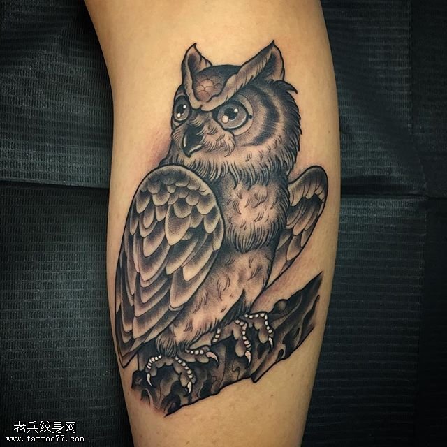 小臂经典写实的猫头鹰纹身图案