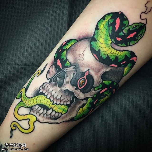 手臂青蛇骷髅纹身图案