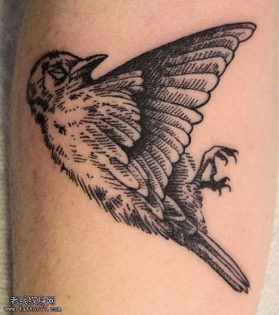 手臂死亡小鸟纹身图案