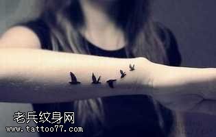 手臂海鸥黑白纹身图案